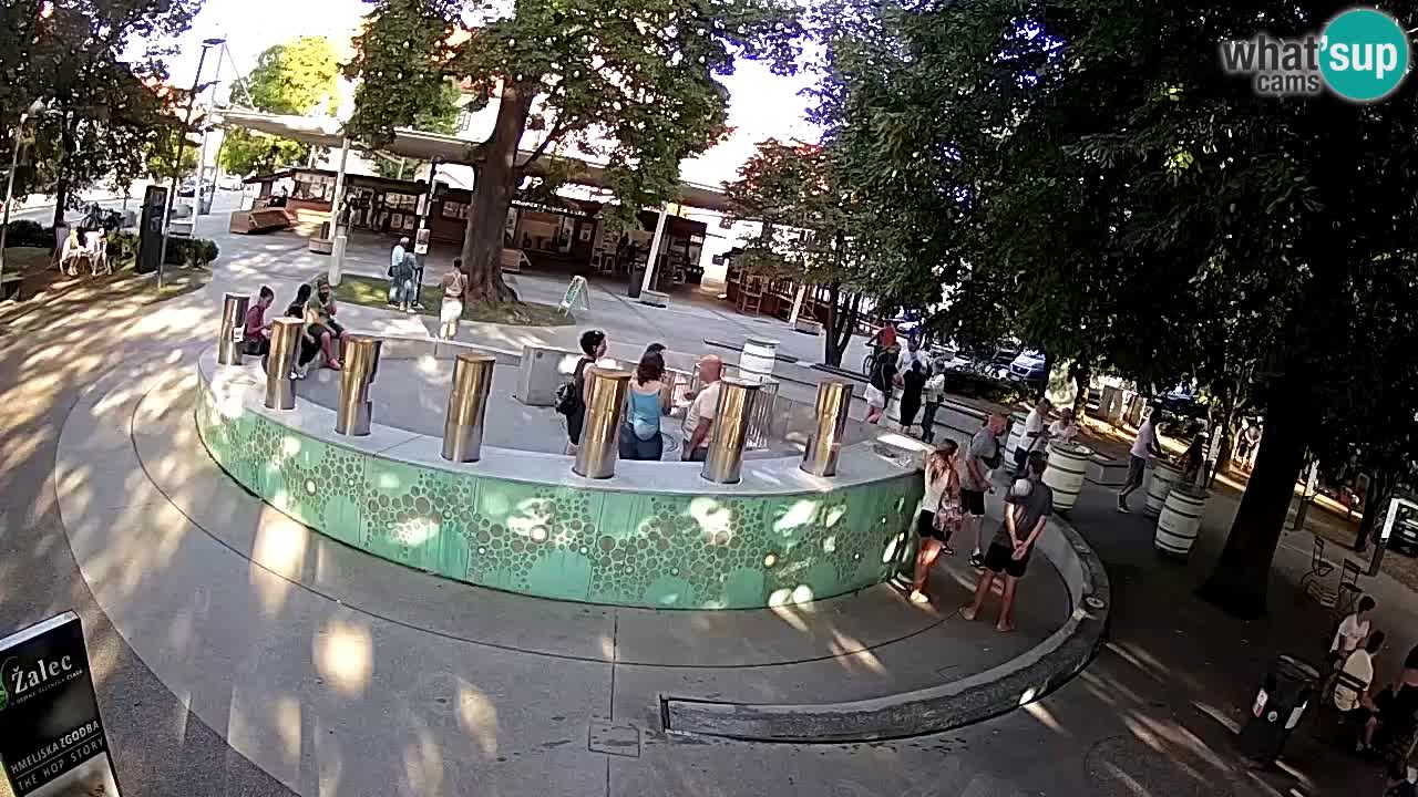 Fontaine à bière LIVE webcam – Or vert – Žalec