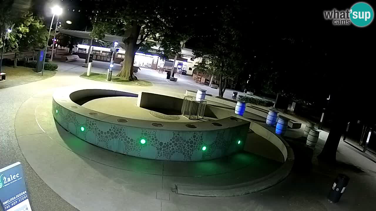 Fontana di birra Webcam – Oro verde – Žalec