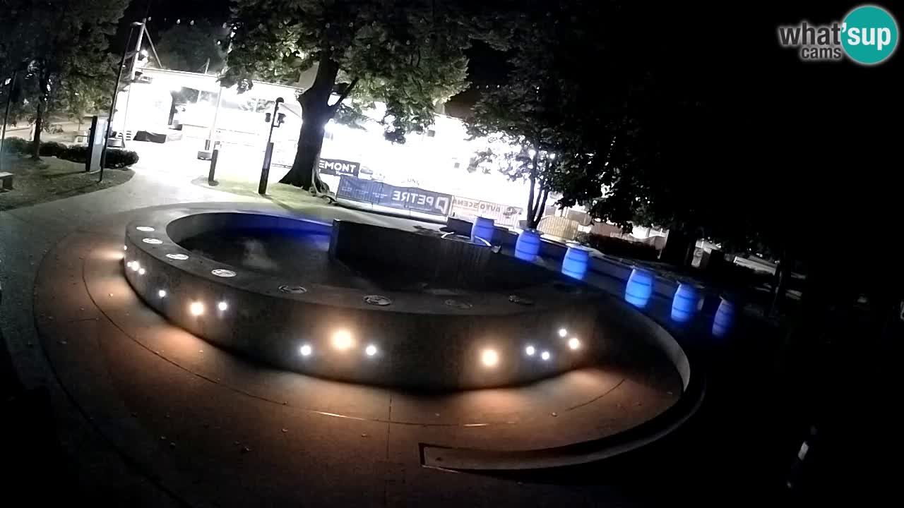 Fontana di birra Webcam – Oro verde – Žalec
