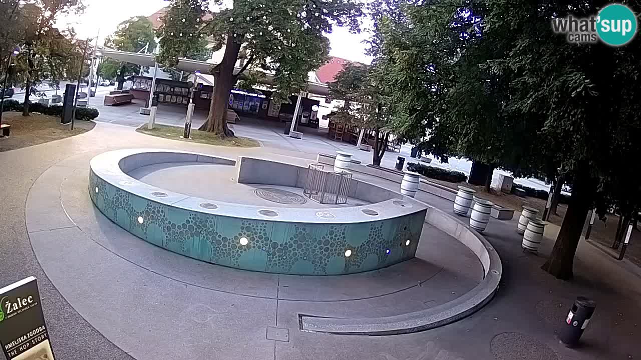Bier-Springbrunnen Webcam Žalec – Grünen Goldes