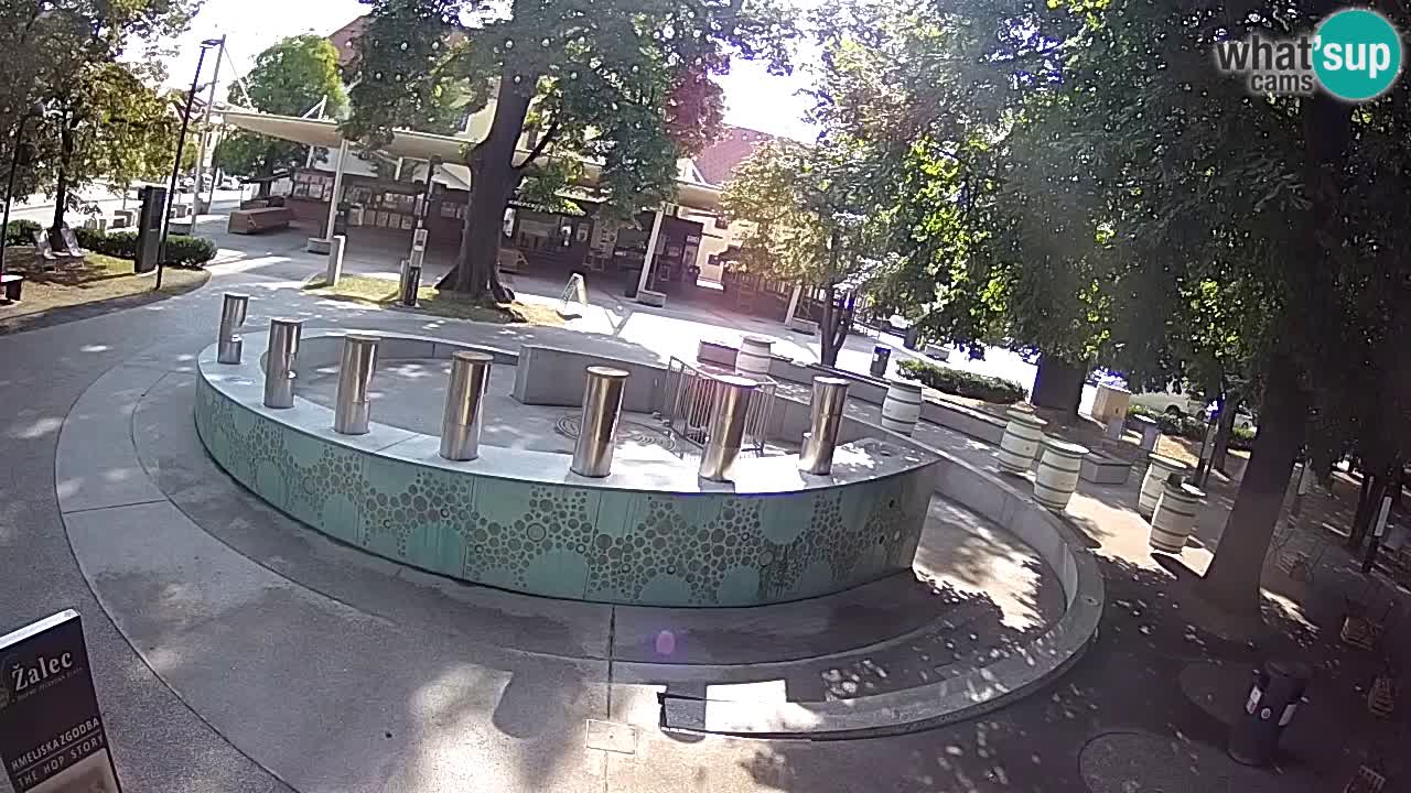 Bier-Springbrunnen Webcam Žalec – Grünen Goldes