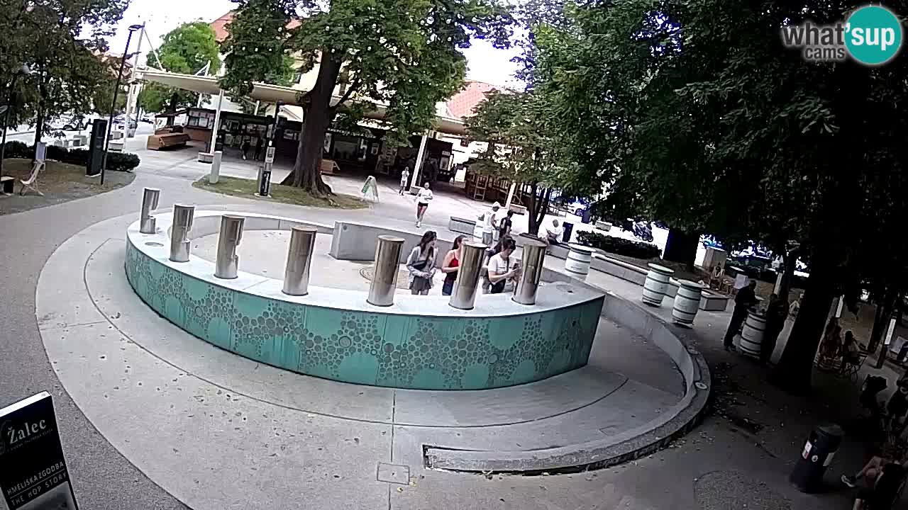 Bier-Springbrunnen Webcam Žalec – Grünen Goldes