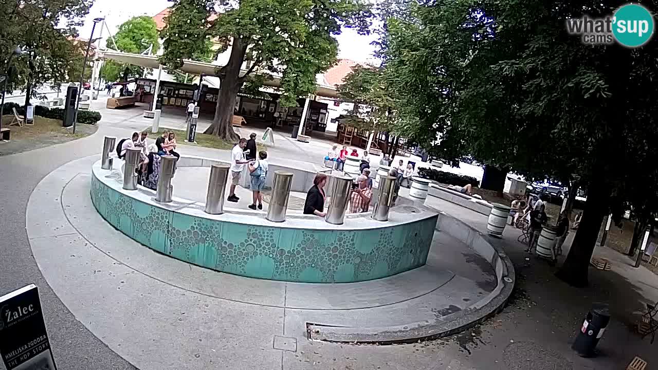 Fontana di birra Webcam – Oro verde – Žalec