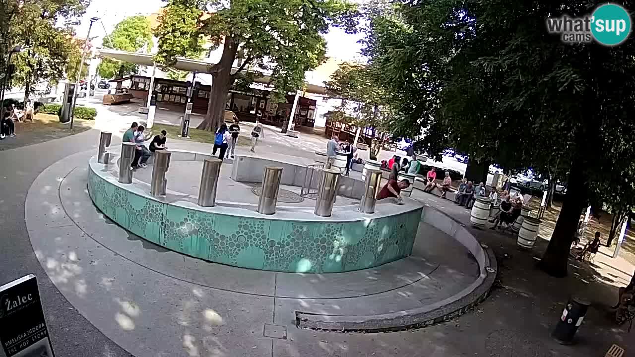 LIVEcam Beer fountain – Green Gold – Žalec – Slovenia