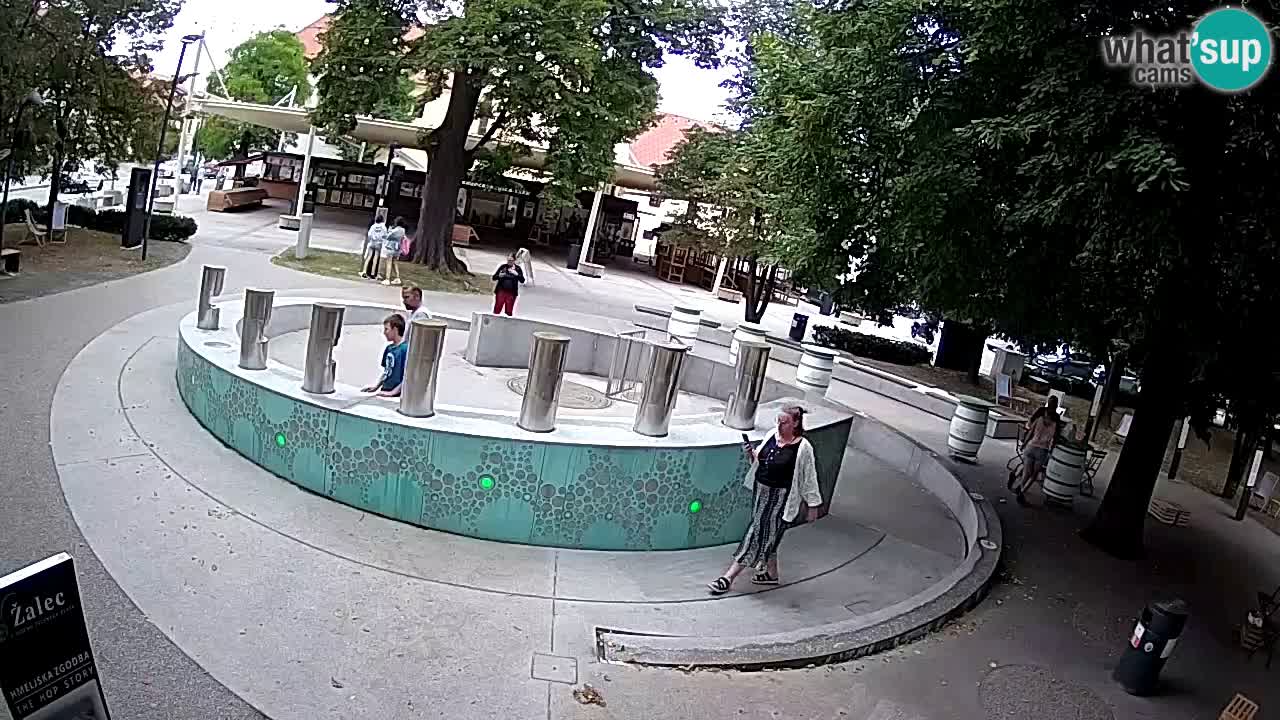 Bier-Springbrunnen Webcam Žalec – Grünen Goldes