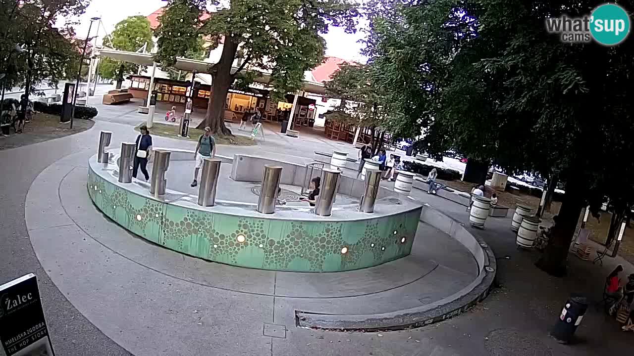 Bier-Springbrunnen Webcam Žalec – Grünen Goldes