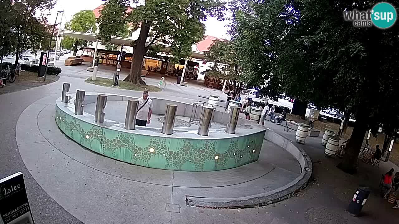 Spletna kamera Fontana Piv – Zeleno zlato Žalec