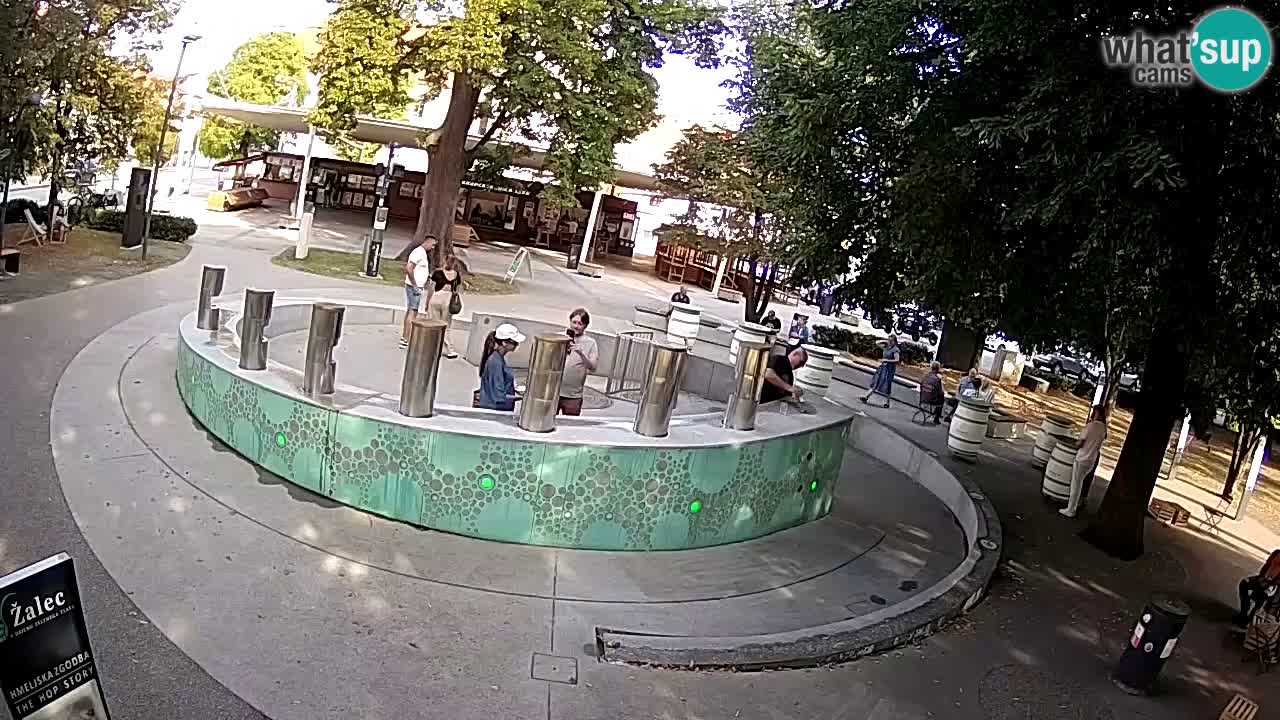 Camera en vivo Fuente de cerveza – Oro verde – Žalec