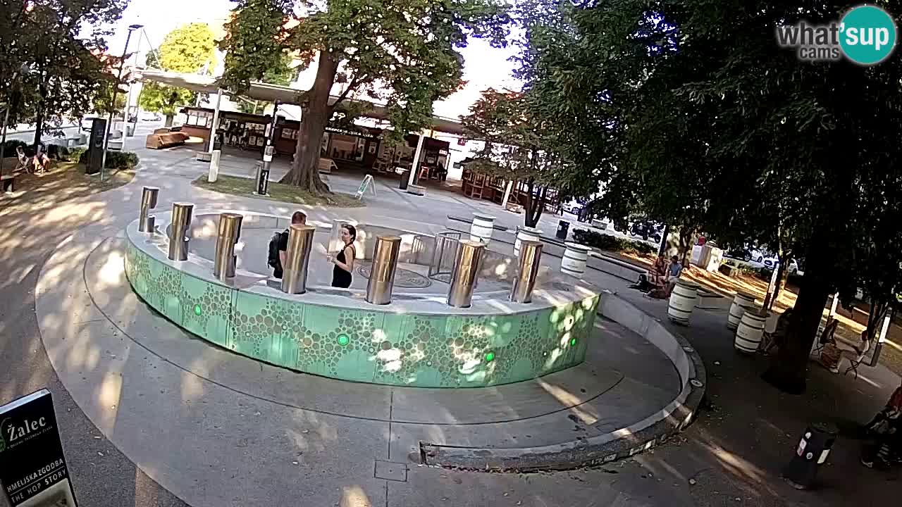 Fontana di birra Webcam – Oro verde – Žalec
