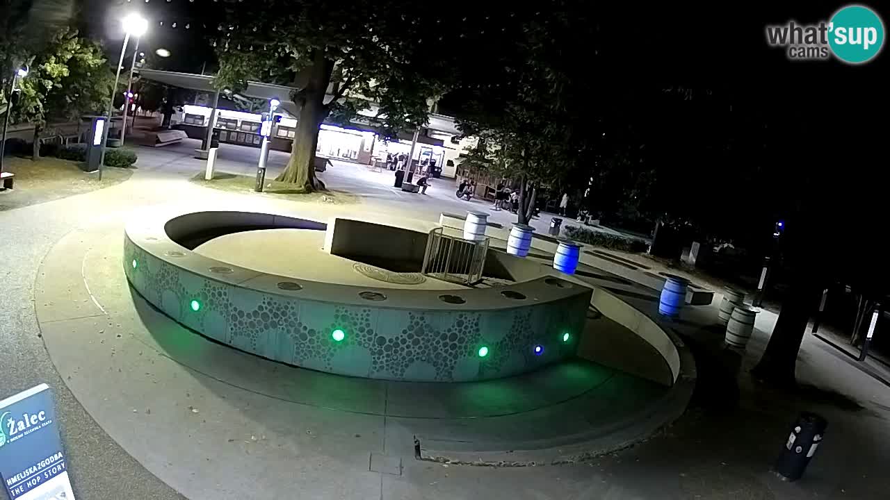 Camera en vivo Fuente de cerveza – Oro verde – Žalec