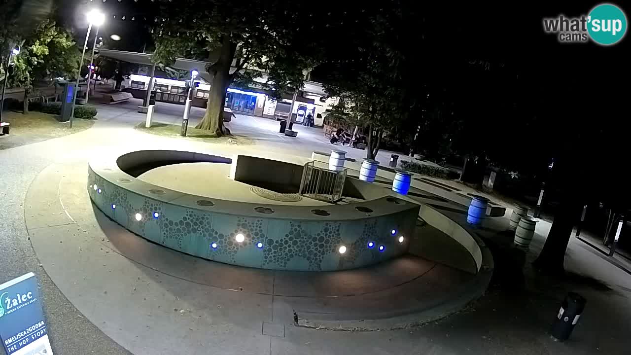 Spletna kamera Fontana Piv – Zeleno zlato Žalec
