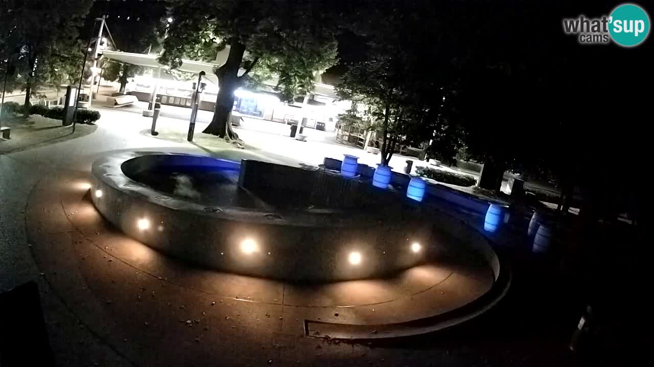 Camera en vivo Fuente de cerveza – Oro verde – Žalec