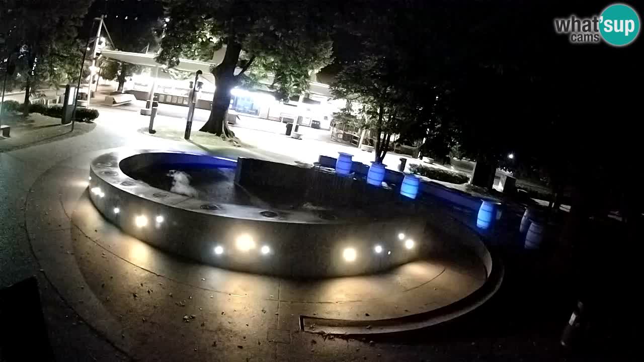 Spletna kamera Fontana Piv – Zeleno zlato Žalec