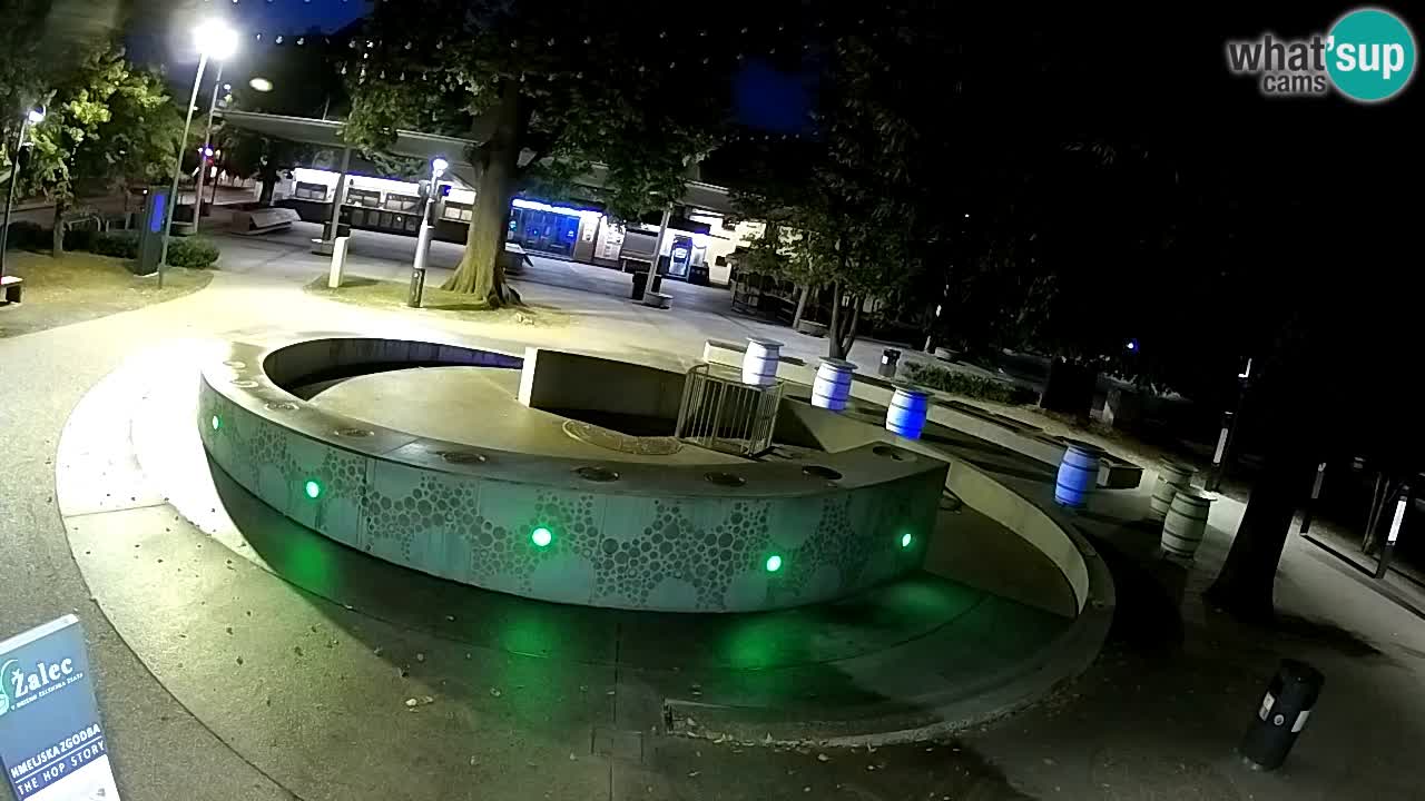 Bier-Springbrunnen Webcam Žalec – Grünen Goldes