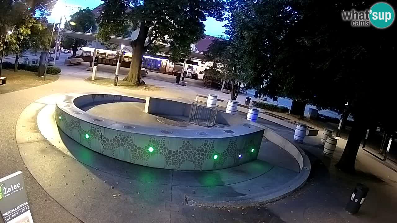 Fontaine à bière LIVE webcam – Or vert – Žalec
