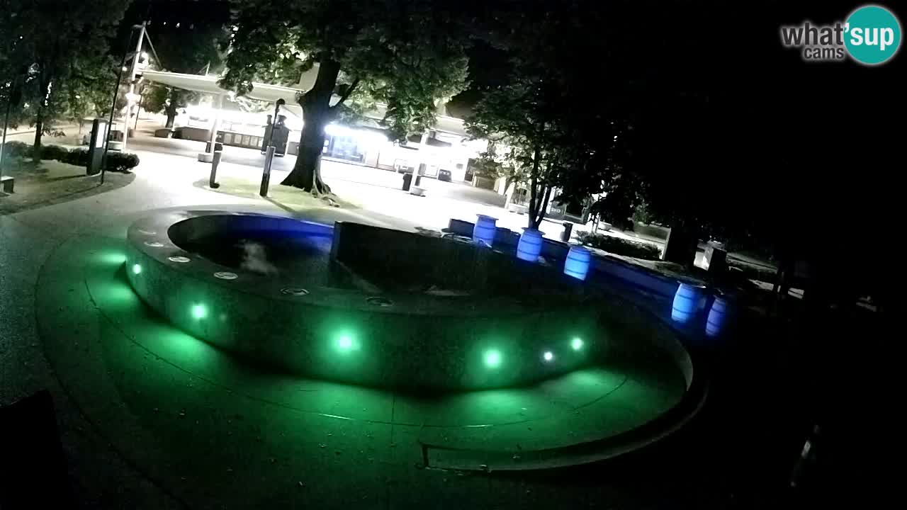 Fontana di birra Webcam – Oro verde – Žalec