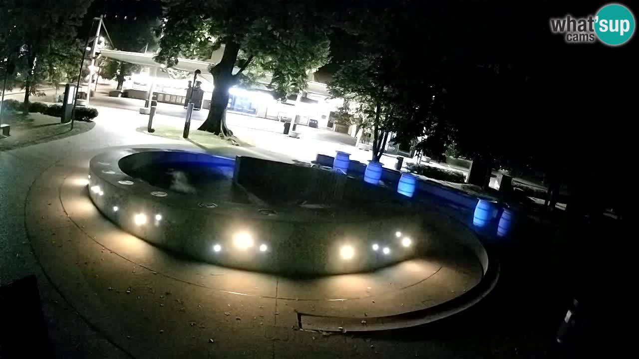 Fontana di birra Webcam – Oro verde – Žalec