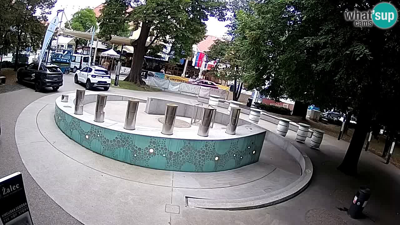 Fontaine à bière LIVE webcam – Or vert – Žalec