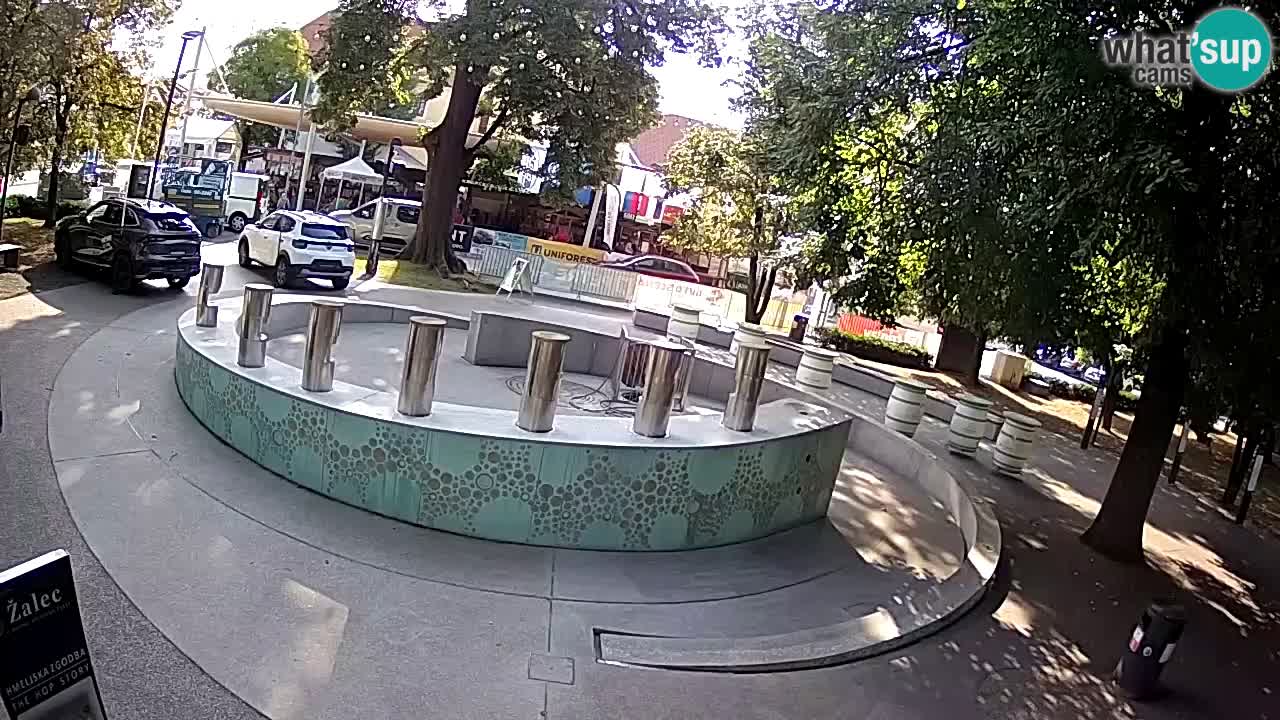 Spletna kamera Fontana Piv – Zeleno zlato Žalec