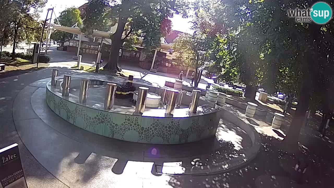 Fontana di birra Webcam – Oro verde – Žalec