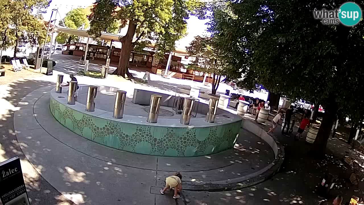 Fontaine à bière LIVE webcam – Or vert – Žalec