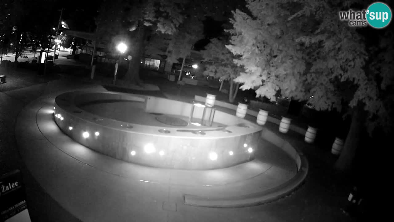 Fontaine à bière LIVE webcam – Or vert – Žalec