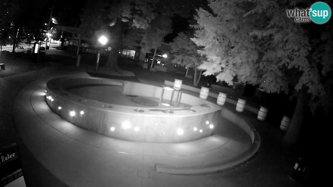 Fontaine à bière LIVE webcam – Or vert – Žalec