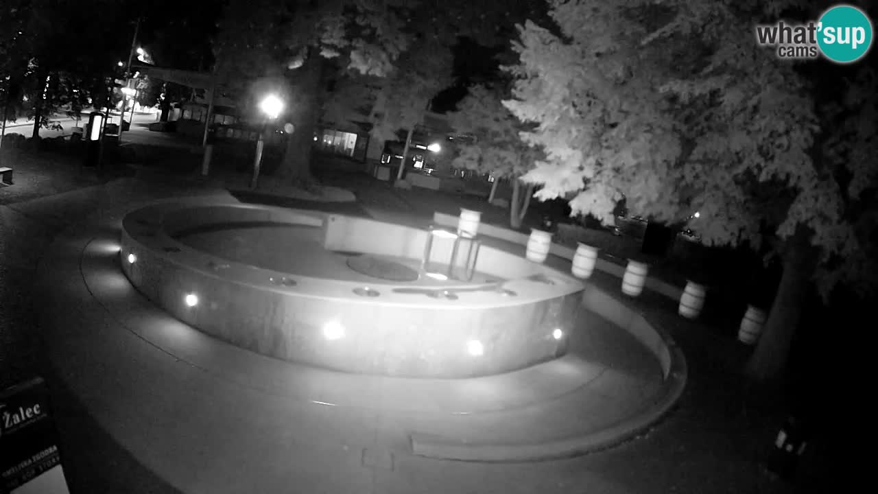 Camera en vivo Fuente de cerveza – Oro verde – Žalec