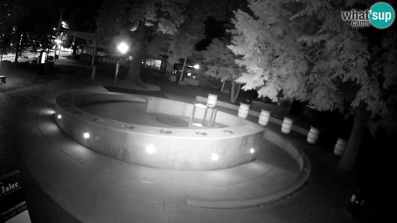 Camera en vivo Fuente de cerveza – Oro verde – Žalec