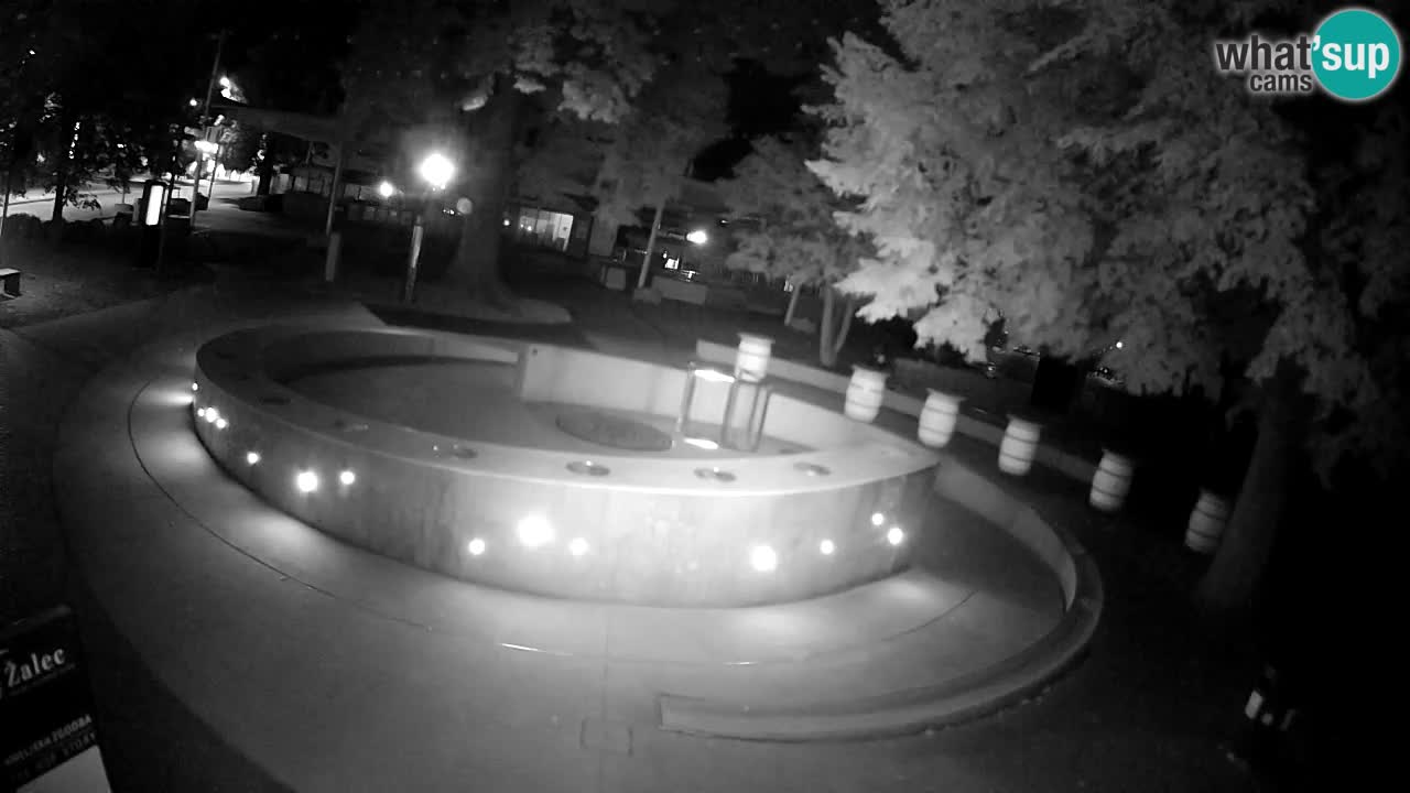 Camera en vivo Fuente de cerveza – Oro verde – Žalec