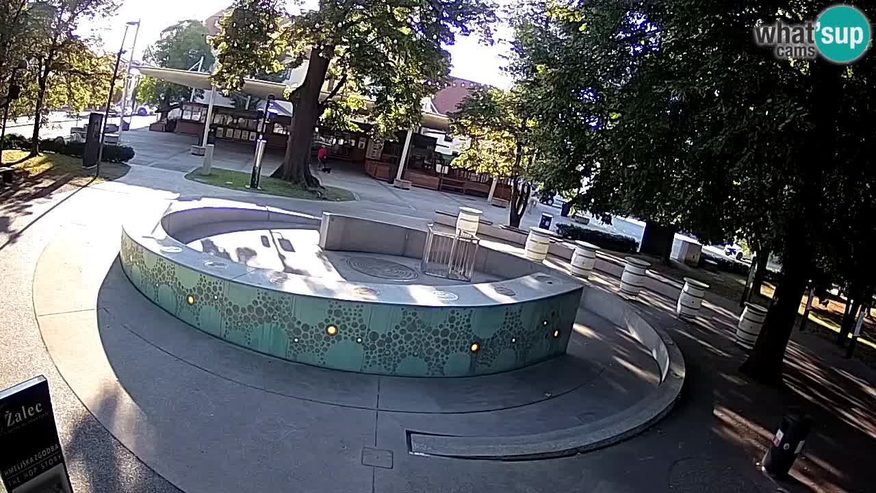 Camera en vivo Fuente de cerveza – Oro verde – Žalec