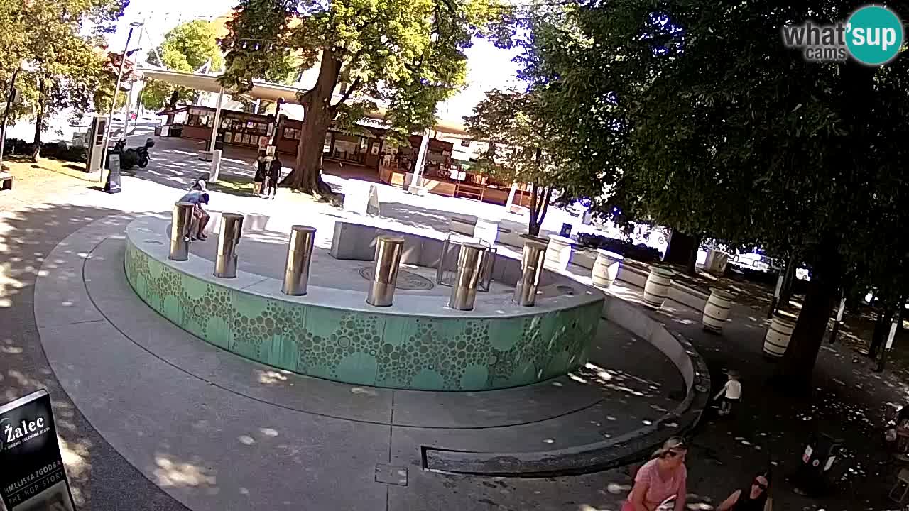 Bier-Springbrunnen Webcam Žalec – Grünen Goldes