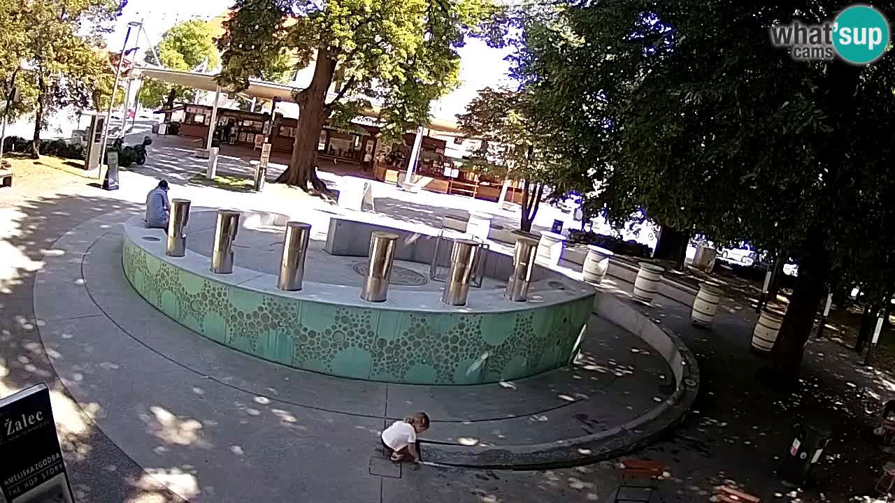 Bier-Springbrunnen Webcam Žalec – Grünen Goldes
