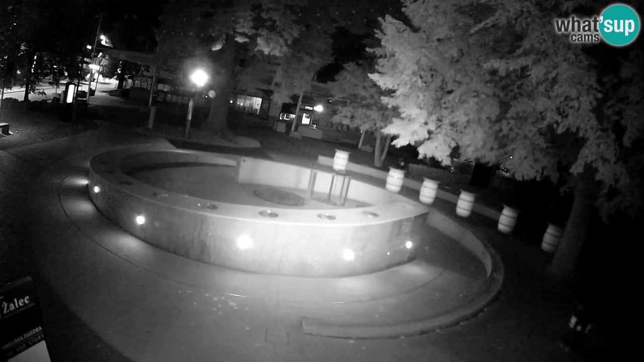 Bier-Springbrunnen Webcam Žalec – Grünen Goldes