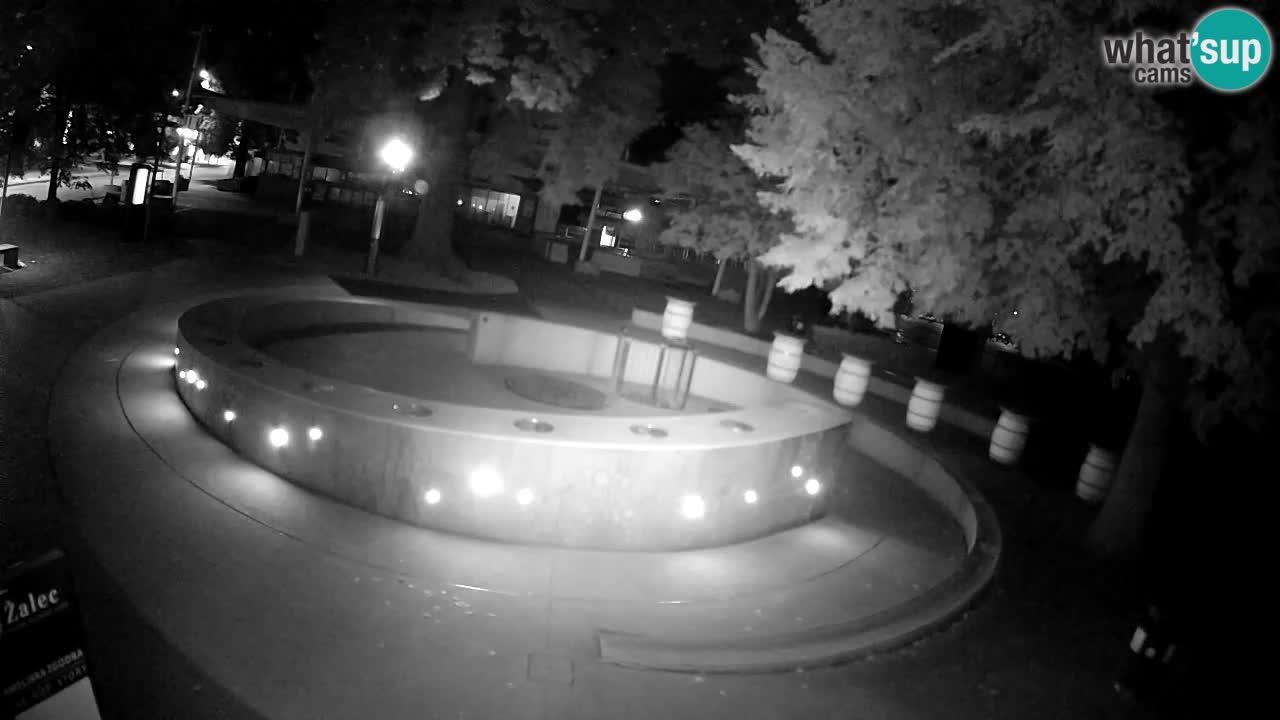 Bier-Springbrunnen Webcam Žalec – Grünen Goldes