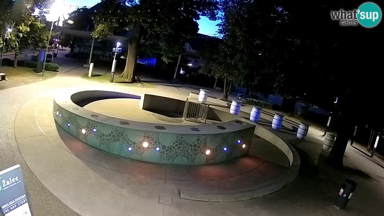 Spletna kamera Fontana Piv – Zeleno zlato Žalec