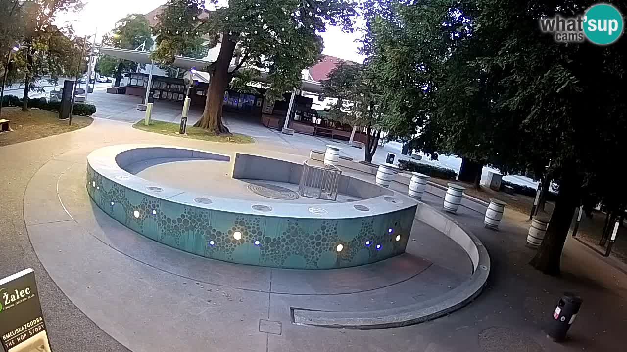 Spletna kamera Fontana Piv – Zeleno zlato Žalec