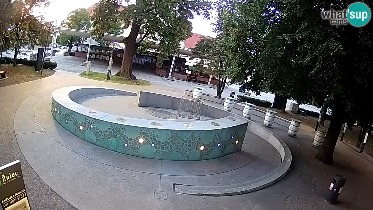 Fontana di birra Webcam – Oro verde – Žalec