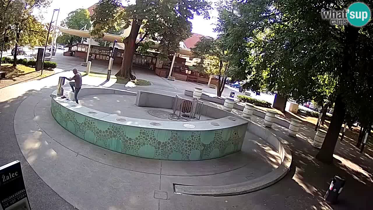 Spletna kamera Fontana Piv – Zeleno zlato Žalec