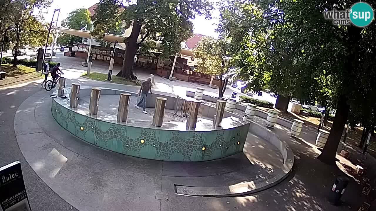 Fontaine à bière LIVE webcam – Or vert – Žalec