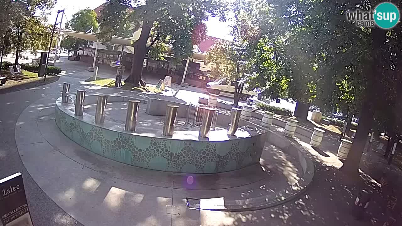 Camera en vivo Fuente de cerveza – Oro verde – Žalec