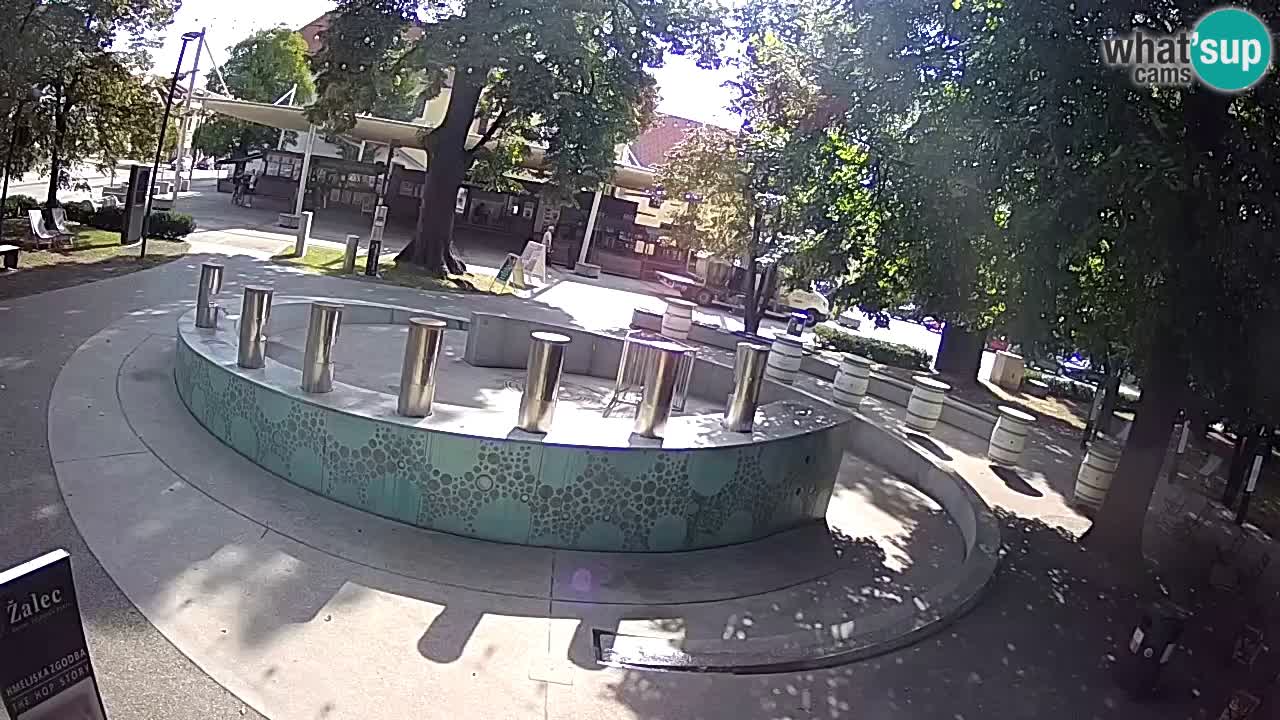 Camera en vivo Fuente de cerveza – Oro verde – Žalec