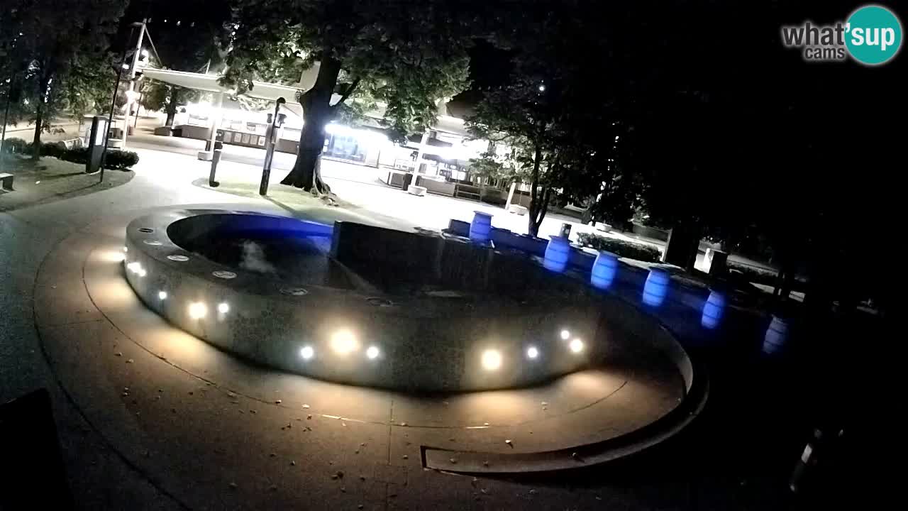 Fontana di birra Webcam – Oro verde – Žalec