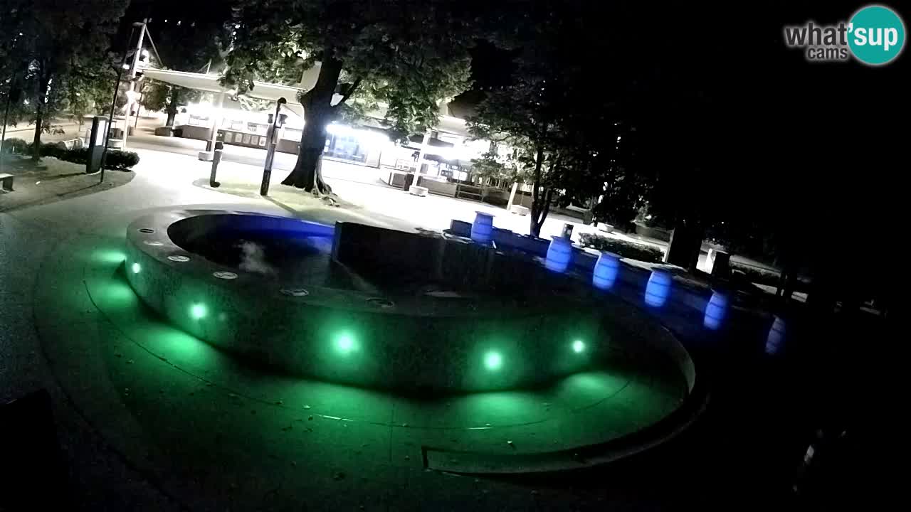 Camera en vivo Fuente de cerveza – Oro verde – Žalec