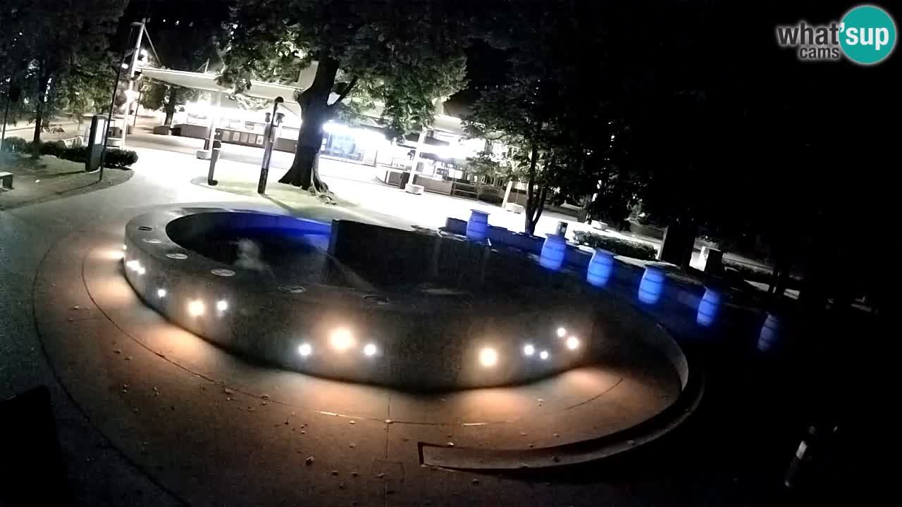 Fontana di birra Webcam – Oro verde – Žalec