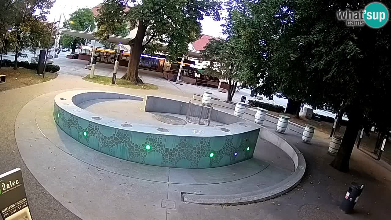 Fontana di birra Webcam – Oro verde – Žalec