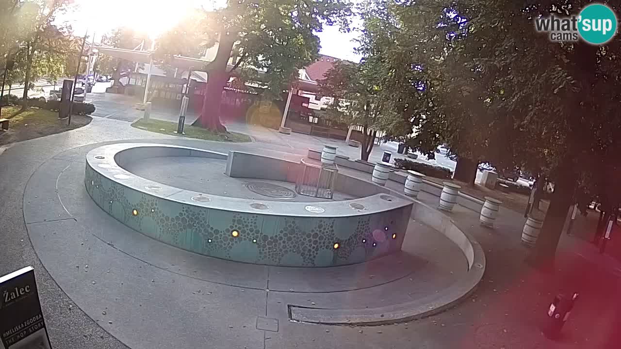Fontana di birra Webcam – Oro verde – Žalec