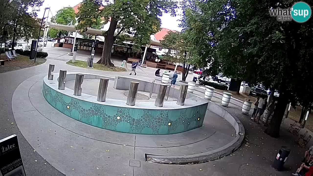Bier-Springbrunnen Webcam Žalec – Grünen Goldes