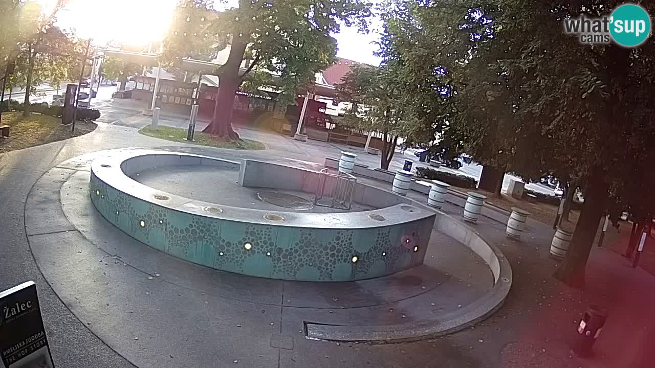 Fontaine à bière LIVE webcam – Or vert – Žalec