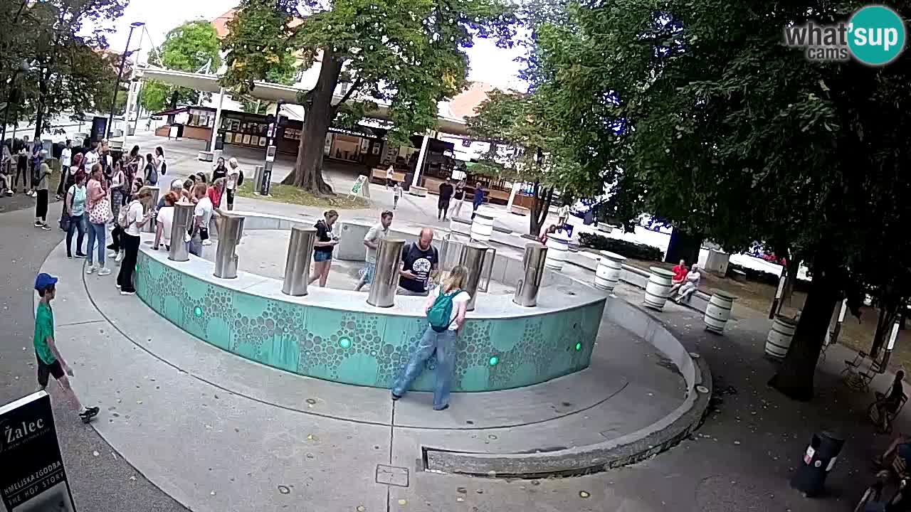 Fontaine à bière LIVE webcam – Or vert – Žalec